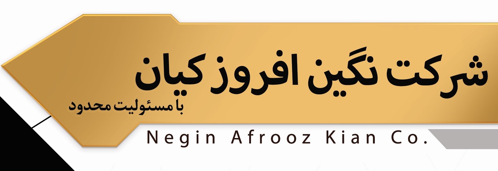 neginafroozkian-logo